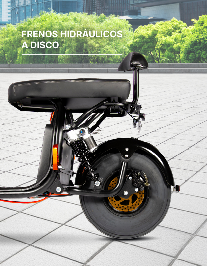 PRODUCTO-ESPECIFICACIONES_SPY-RACING-1500_TRIADA5.jpg